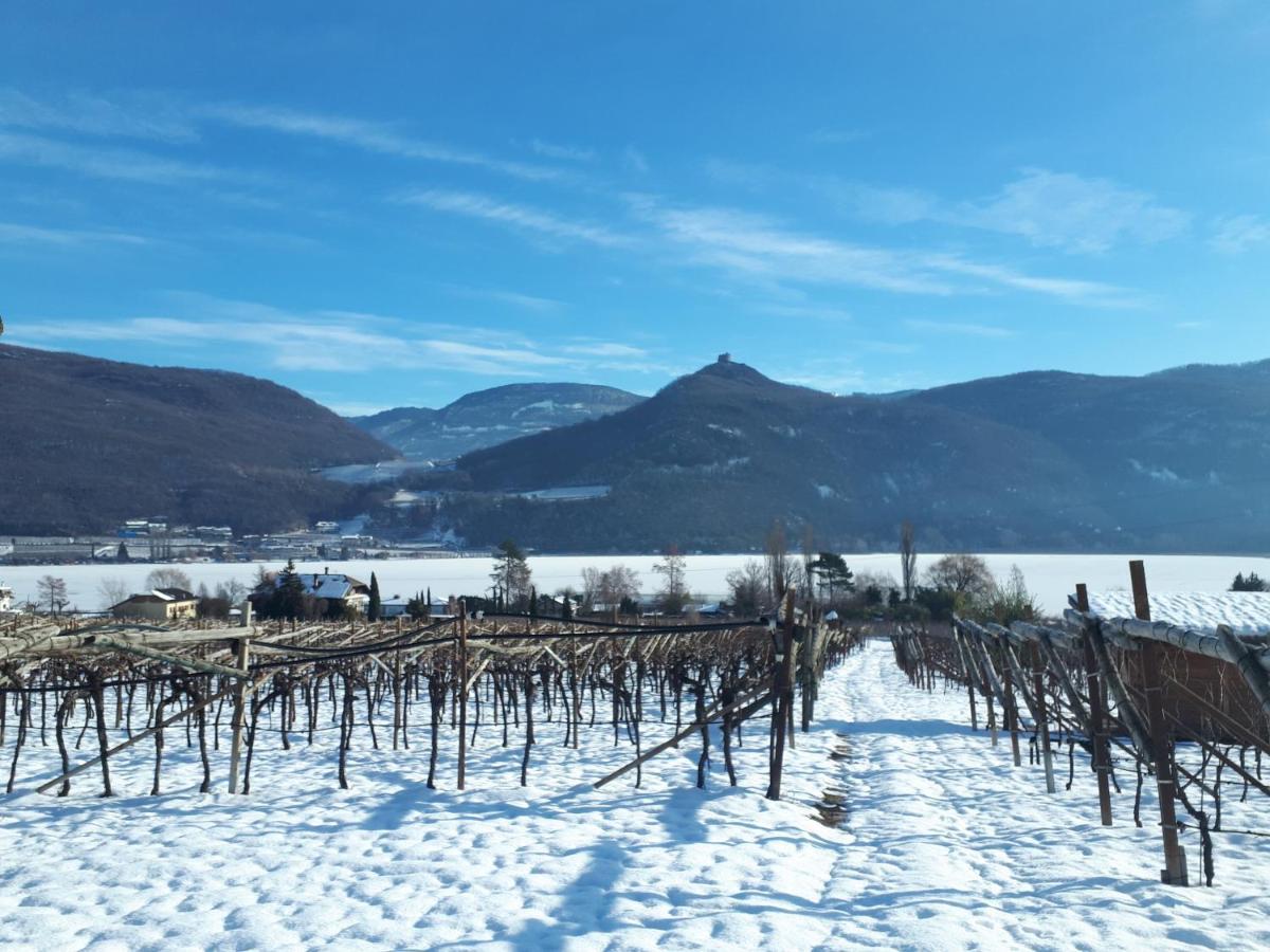 Weingut Weidlhof - Suite & Breakfast - Vacation For Wine Lovers Caldaro Exterior foto