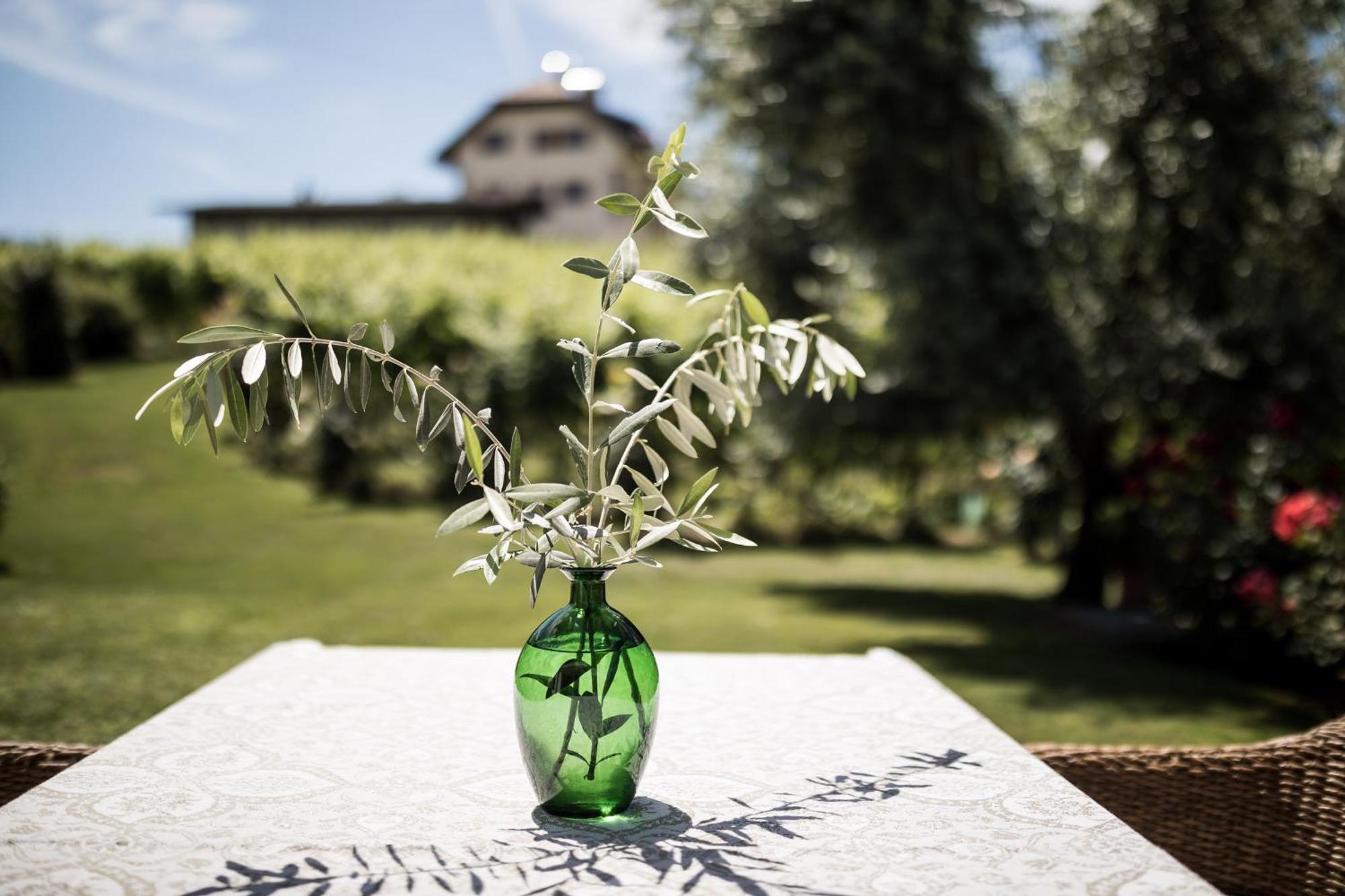 Weingut Weidlhof - Suite & Breakfast - Vacation For Wine Lovers Caldaro Exterior foto